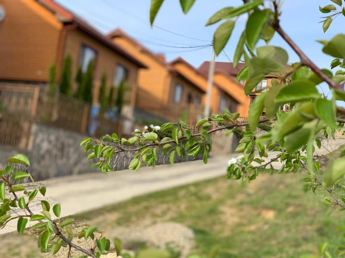 Mini hotel Solnce Karpat Polyana  Bagian luar foto