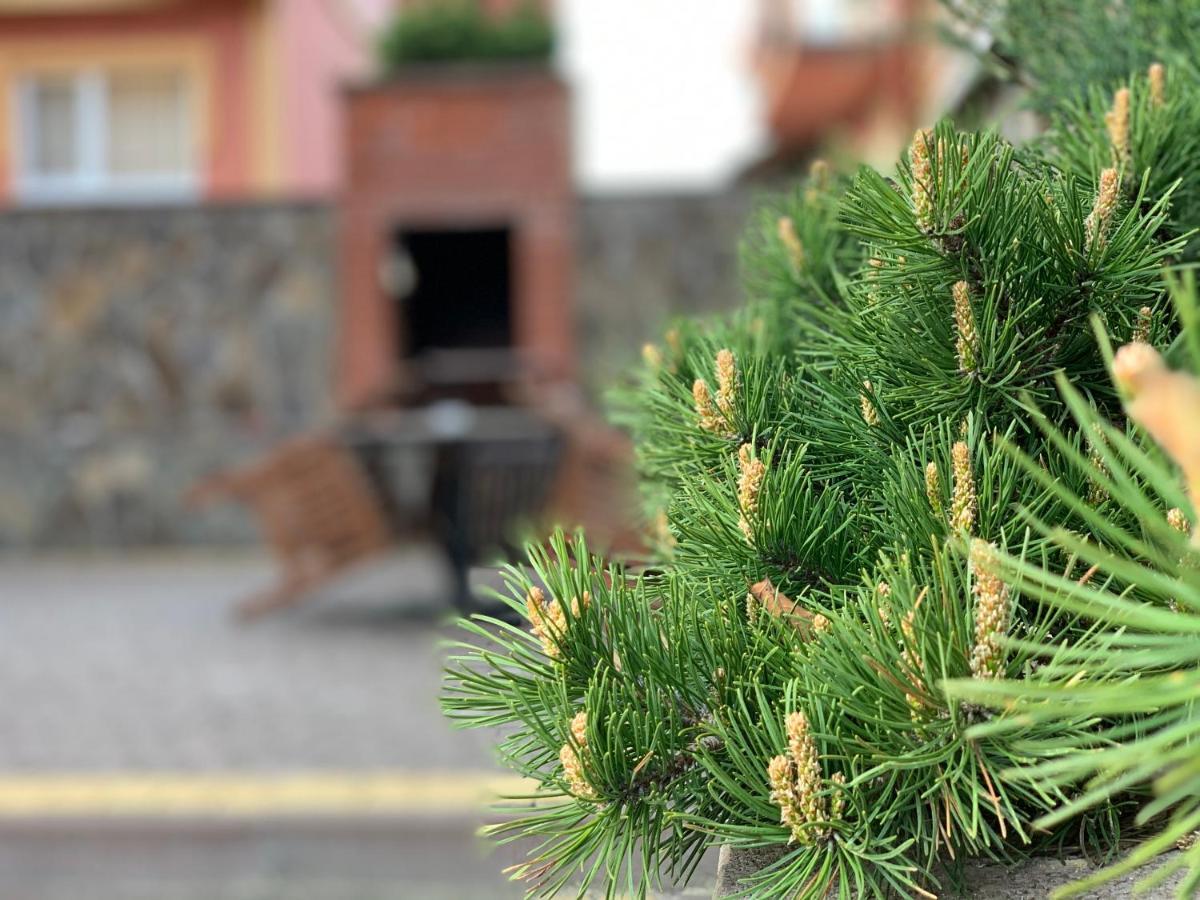 Mini hotel Solnce Karpat Polyana  Bagian luar foto